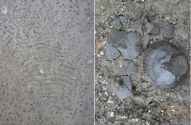 Detecting strange 5,500-year-old fingerprints on ancient ceramic pots