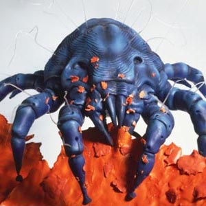 Detecting strange diseases from bugs carrying viruses in China