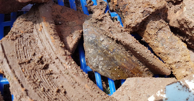 Detecting strange ground in archaeological area to find King Quang Trung's grave