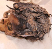 Detecting strange hair braiding style of ancient Egyptians