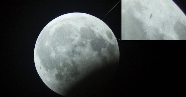 Detecting strange objects in the image of 'moon bear' in Hanoi
