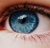 Detecting the 6th layer in the human eye