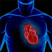 Detecting the gene makes the heart broken