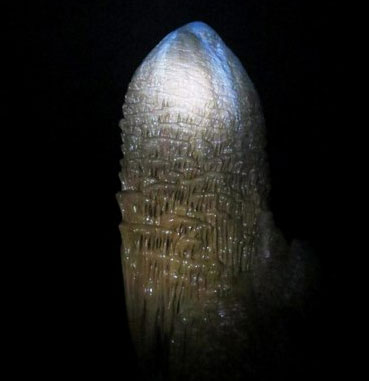 Detecting the stalactite block 'unique' in Phong Nha cave