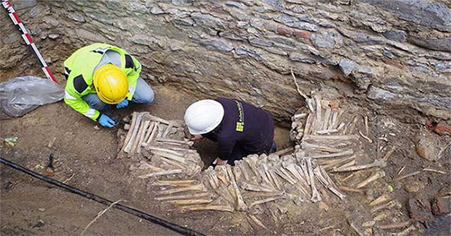 Detecting the wall of human bones 500 years old