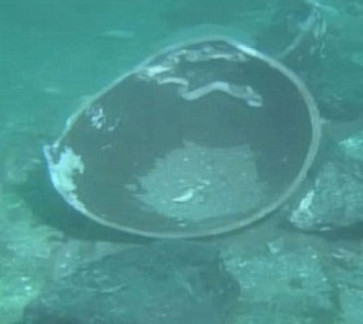Detecting the wreck of the ship under the reign of Kublai Khan