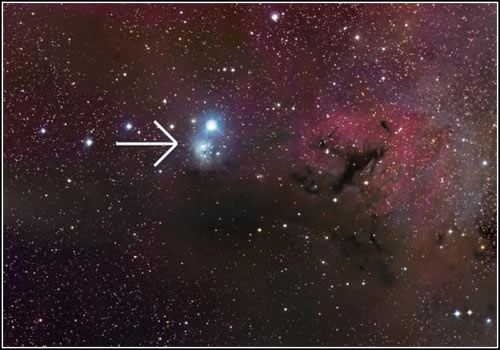 Detecting the youngest and smallest mass dwarf in the vicinity of the Sun.