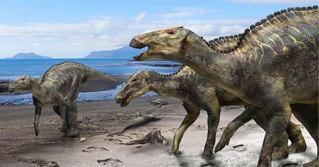Detecting traces of rare cancer in dinosaur fossils