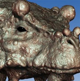 Detecting ugly reptile fossils, head full of humps