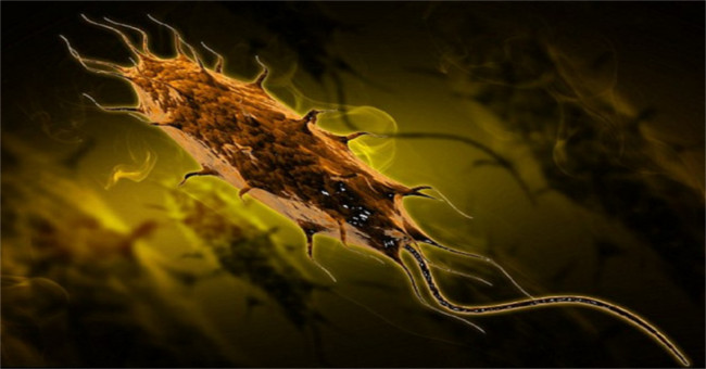 Detecting weaknesses can help kill drug-resistant viruses