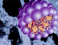 Detection and prevention of cervical cancer