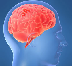 Detection of aging genes in the human brain