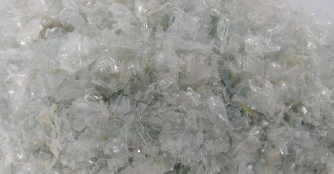 Detection of bacteria capable of biodegradable plastic