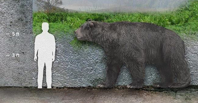 Detection of bear fossils dating to 120,000 years in Argentina