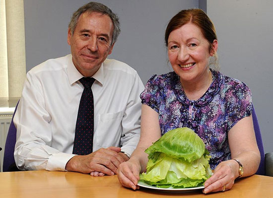 Detection of breast cancer by lettuce