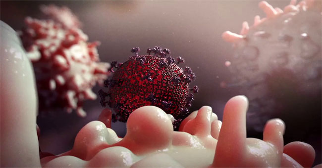Detection of drugs that prevent HIV from reproducing in cells