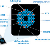 Detection of flu in just one hour