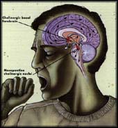Detection of genes involved in deep sleep