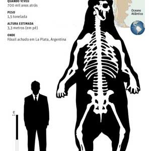 Detection of giant bear fossils