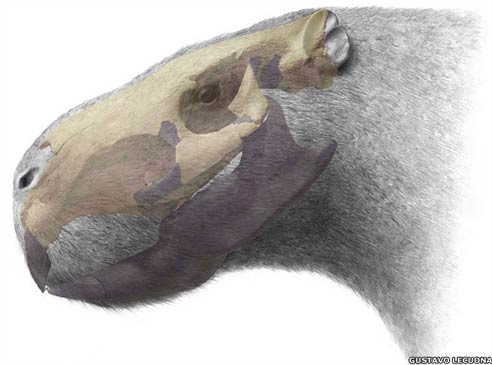 Detection of giant mouse fossils