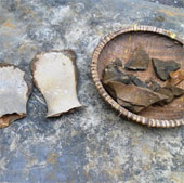 Detection of large fossil skeletons