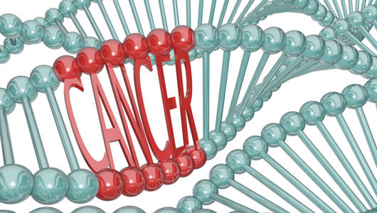 Detection of new breast cancer gene