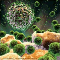Detection of peptides in the blood inhibits HIV / AIDS virus