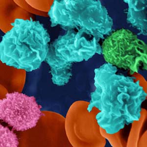 Detection of proteins that control immune cells
