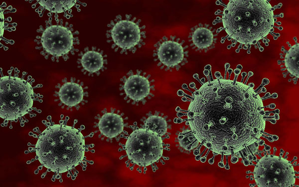 Detection of the H5N1 virus strain by a test
