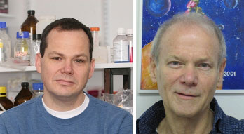 Detection of the p53 gene inhibits the growth of cancer cells