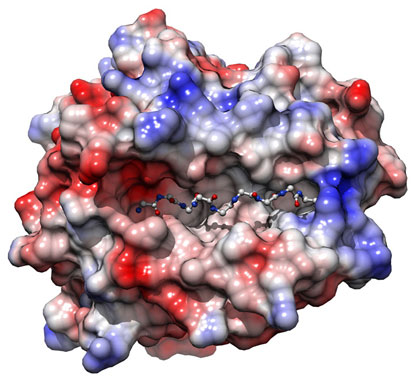 Detection of variant HLA-B gene that helps to block HIV