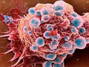 Detects aging-causing substances in cancer cells