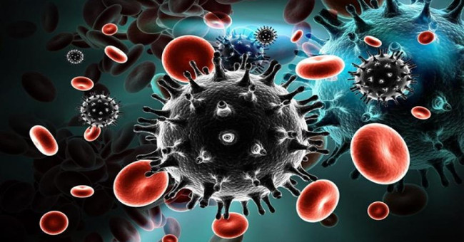 Detects antibodies that neutralize HIV virus