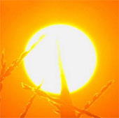 Detects molecules that help measure activity at the Sun's core