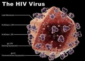 Detects molecules that spread HIV in humans