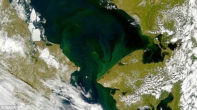 Detects shock under the Arctic ice shelf