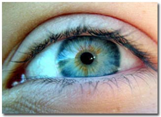 Detects the second light sensing system in the human eye