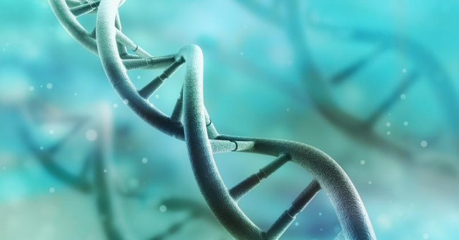 Detects traces of life after the body dies