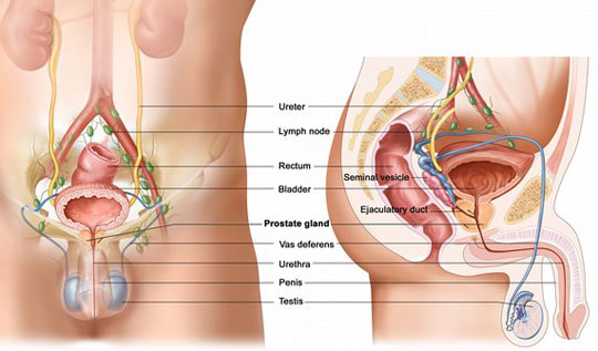 Determination of prostate cancer by urine test