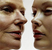 Determine the control area of ​​aging in the brain