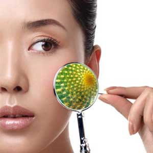 Determine the mechanism by which skin cancer cells destroy the immune system