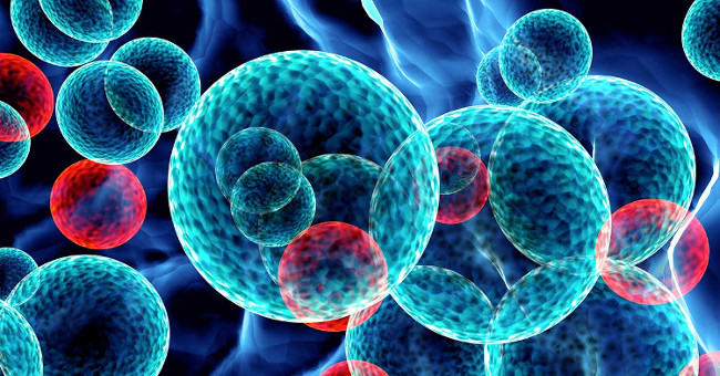 Develop nanotechnology to kill cancer cells