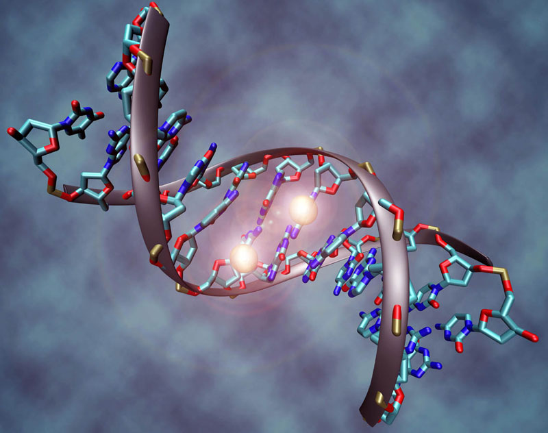 Developed a DNA decoder for just $ 1,000