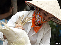 Device detects H5N1 bird flu virus