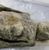 Diagnosis of mummies