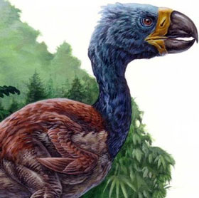DIatryma giants are not carnivores
