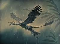 Did the dinosaurs ever fly and swim?