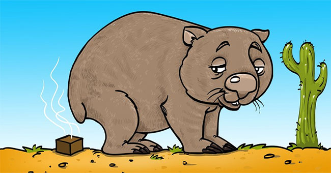 Did you know: The feces of Wombat bags are square and this is the reason