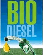 Diesel from chicken fat