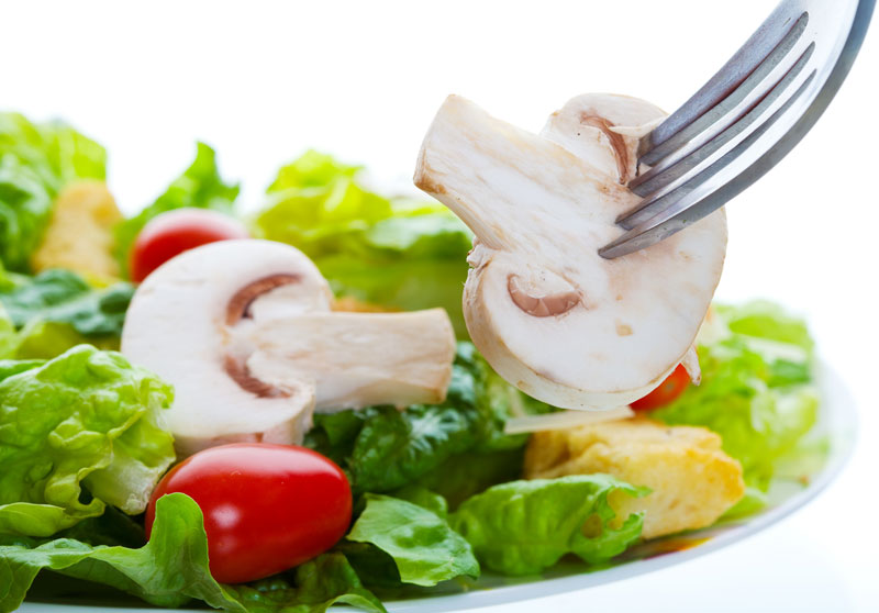 Diet helps to maintain the 'spring age' of the brain
